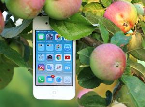 images/agriculture-apple-apple-devices.jpg